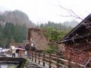 P1010051su.jpg