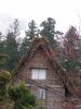 P1010056su.jpg