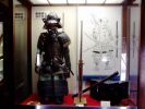 P1010108su.jpg