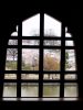 P1010109su.jpg