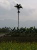 hualien11.jpg
