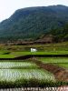 hualien2.jpg